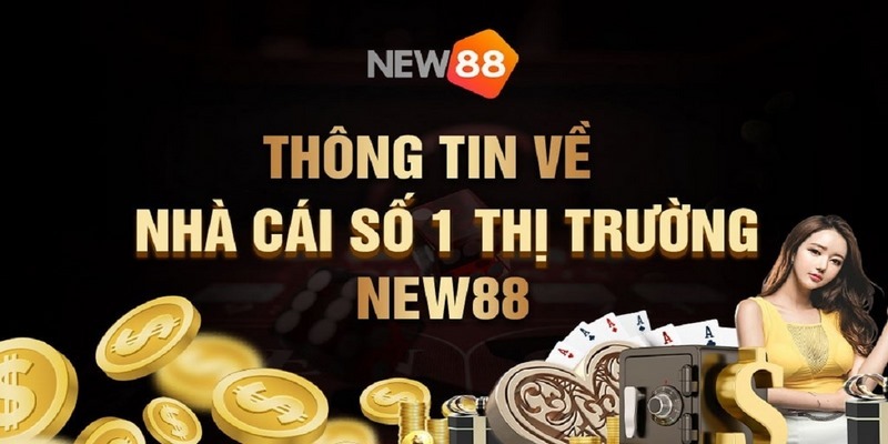 Hỏi và đáp toàn bộ về điều khoản và điều kiện tại hệ thống New88