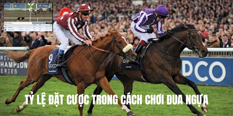 Tỷ lệ đặt cược trong cách chơi đua ngựa